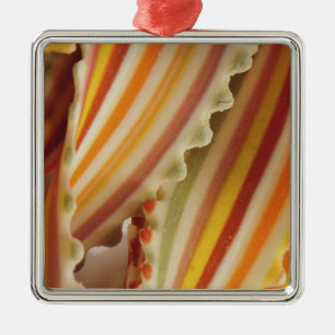 USA. Close-up of dried rainbow pasta noodles. Metal Ornament
