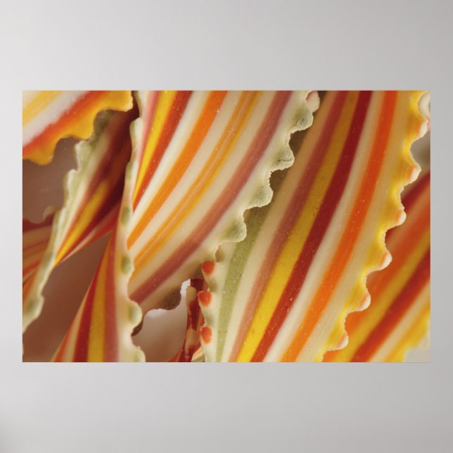 USA. Close-up of dried rainbow pasta noodles. Poster (Front)
