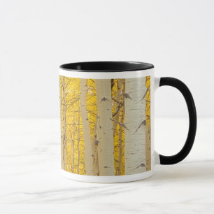 USA, Colorado. Aspens In Gunnison National Mug