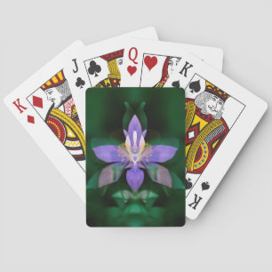 USA, Colorado, Boulder County Playing Cards