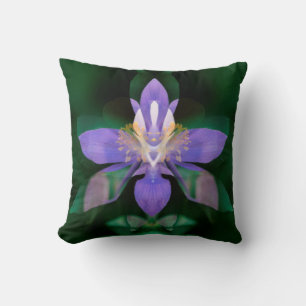 USA, Colorado, Boulder County Throw Pillow