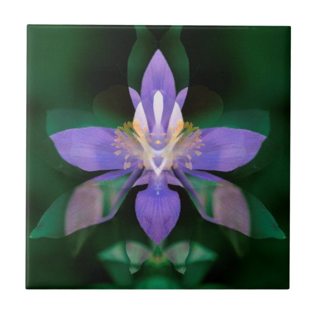 USA, Colorado, Boulder County Tile (Front)