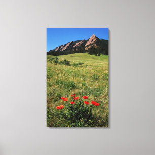 USA, Colorado, Boulder. Flatirons and poppies Canvas Print