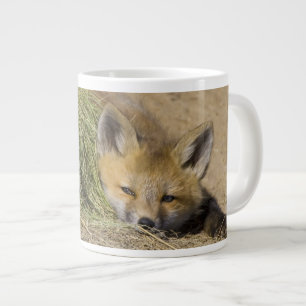 USA, Colorado, Breckenridge. Alert red fox Large Coffee Mug