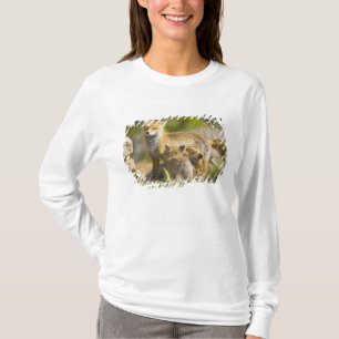 USA, Colorado, Breckenridge. Red fox mother 3 T-Shirt