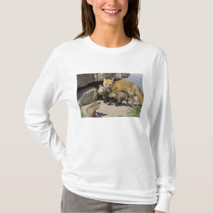 USA, Colorado, Breckenridge. Red fox mother 4 T-Shirt
