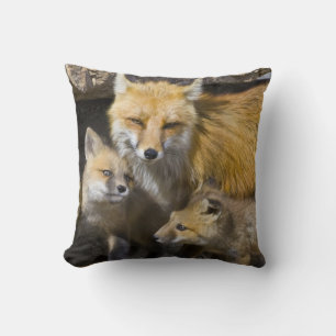 USA, Colorado, Breckenridge. Red fox mother 4 Throw Pillow