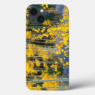 USA, Colorado. Bright Yellow Aspens In Rockies 2 iPhone 13 Case