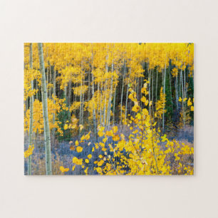 USA, Colorado. Bright Yellow Aspens In Rockies 2 Jigsaw Puzzle