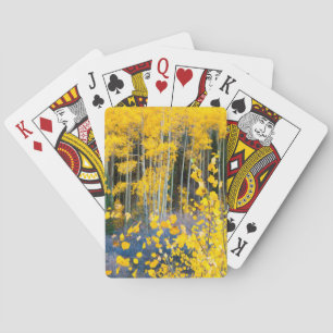 USA, Colorado. Bright Yellow Aspens In Rockies 2 Playing Cards