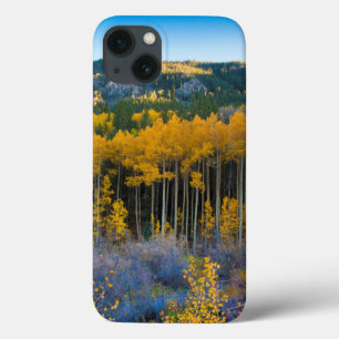 USA, Colorado. Bright Yellow Aspens in Rockies iPhone 13 Case
