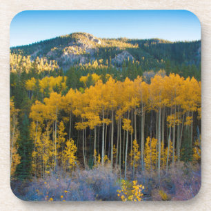 USA, Colorado. Bright Yellow Aspens in Rockies Coaster