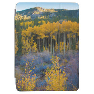 USA, Colorado. Bright Yellow Aspens in Rockies iPad Air Cover