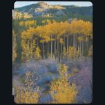 USA, Colorado. Bright Yellow Aspens in Rockies iPad Cover<br><div class="desc">Anna Miller / DanitaDelimont.com USA,  North America,  Colorado</div>