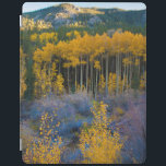 USA, Colorado. Bright Yellow Aspens in Rockies iPad Cover<br><div class="desc">Anna Miller / DanitaDelimont.com USA,  North America,  Colorado</div>
