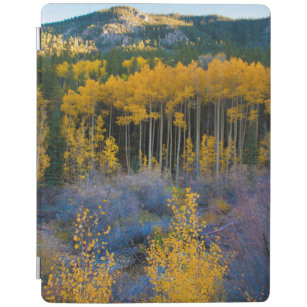 USA, Colorado. Bright Yellow Aspens in Rockies iPad Cover