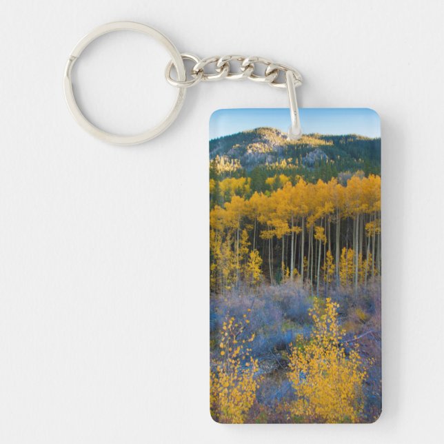 USA, Colorado. Bright Yellow Aspens in Rockies Keychain (Front)