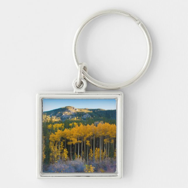 USA, Colorado. Bright Yellow Aspens in Rockies Keychain (Front)