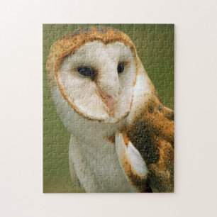 USA, Colorado, Broomfield. Barn owl Jigsaw Puzzle