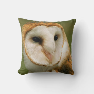 USA, Colorado, Broomfield. Barn owl Throw Pillow