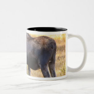 USA, Colorado, Cameron Pass. Bull moose Two-Tone Coffee Mug