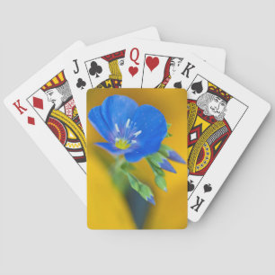 USA, Colorado. Close-up of cranesbill geranium Playing Cards