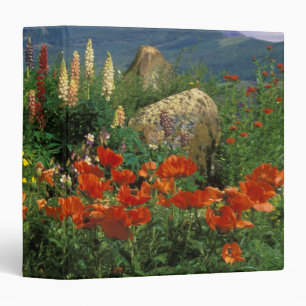 USA, Colorado, Crested Butte. Poppies and lupine Binder