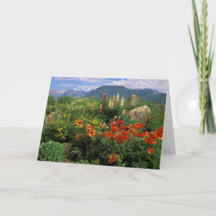 USA, Colorado, Crested Butte. Poppies and lupine Card