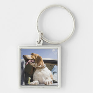USA, Colorado, dog looking through car window 2 Keychain