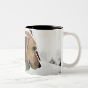 USA, Colorado, dog looking through car window Two-Tone Coffee Mug