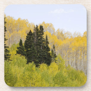 USA, Colorado, Gunnison National Forest, along 2 Coaster