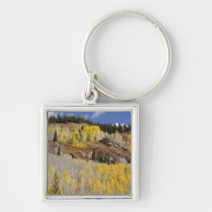 USA, Colorado, Gunnison National Forest, along Keychain