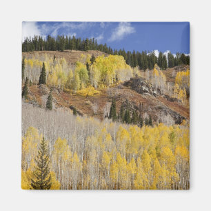 USA, Colorado, Gunnison National Forest, along Magnet