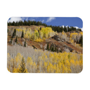 USA, Colorado, Gunnison National Forest, along Magnet