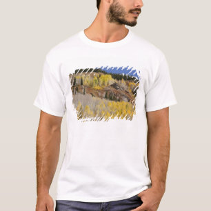USA, Colorado, Gunnison National Forest, along T-Shirt