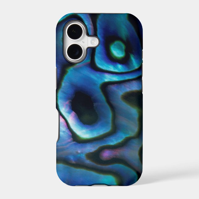 USA, Colorado, Lafayette. Abalone shell (Back)