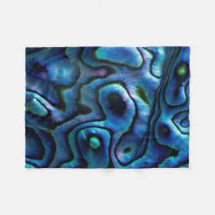 USA, Colorado, Lafayette. Abalone shell Fleece Blanket