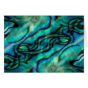 USA, Colorado, Lafayette. Abalone shell montage