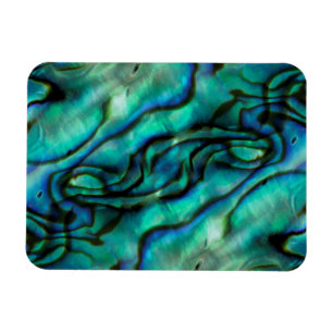 USA, Colorado, Lafayette. Abalone shell montage Magnet