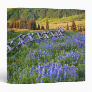 USA, Colorado. Lupines and split rail fence Binder
