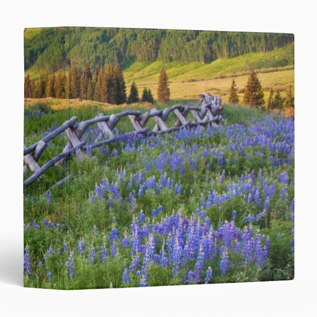USA, Colorado. Lupines and split rail fence Binder (Front/Spine)