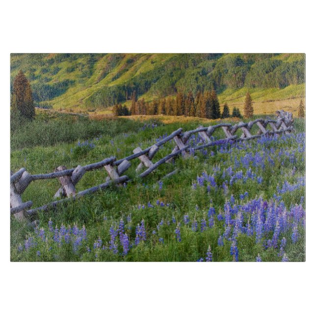 USA, Colorado. Lupines and split rail fence Cutting Board (Front)