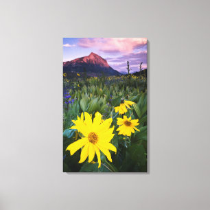 USA, Colorado, Mt. Crested Butte Canvas Print
