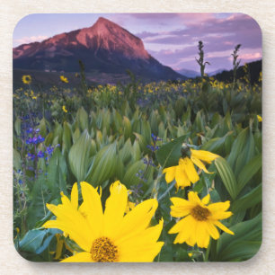 USA, Colorado, Mt. Crested Butte Coaster