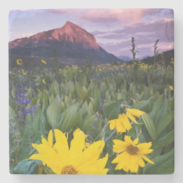 USA, Colorado, Mt. Crested Butte Stone Coaster (Front)