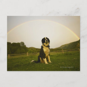 USA, Colorado, New Castle Postcard