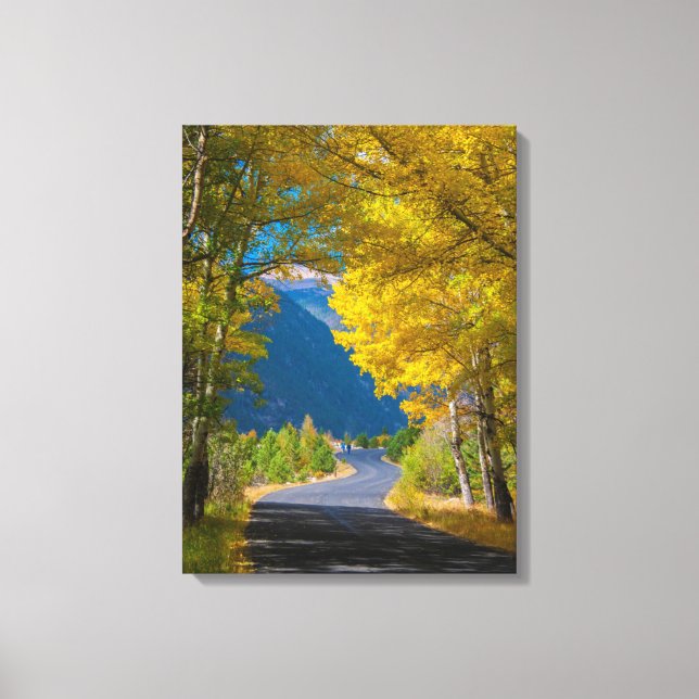USA, Colorado. Road Flanked By Aspens Canvas Print (Front)
