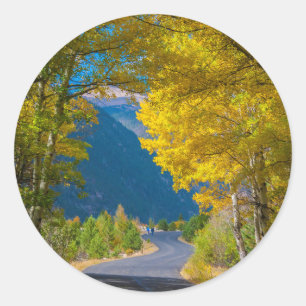 USA, Colorado. Road Flanked By Aspens Classic Round Sticker