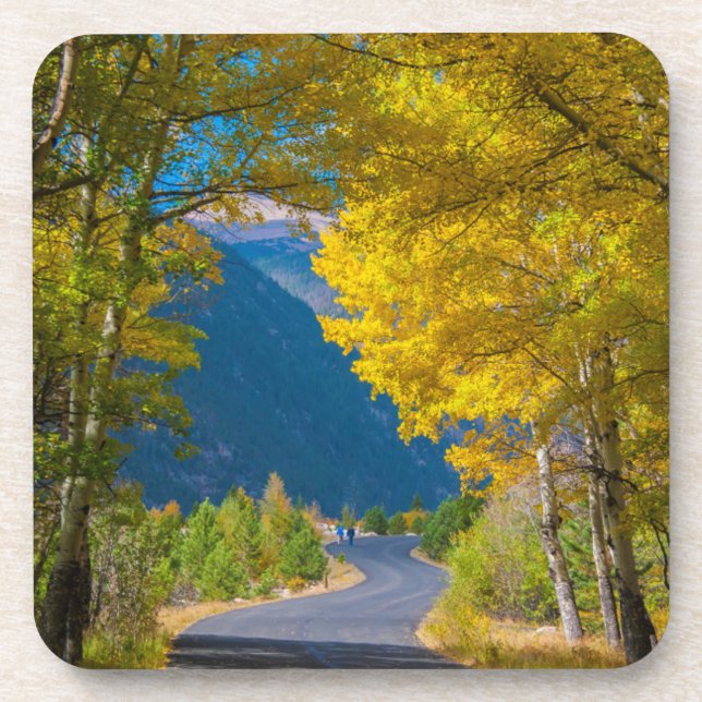 USA, Colorado. Road Flanked By Aspens Coaster (Front)