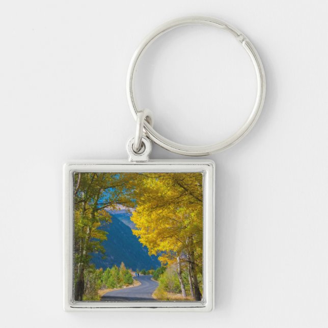 USA, Colorado. Road Flanked By Aspens Keychain (Front)